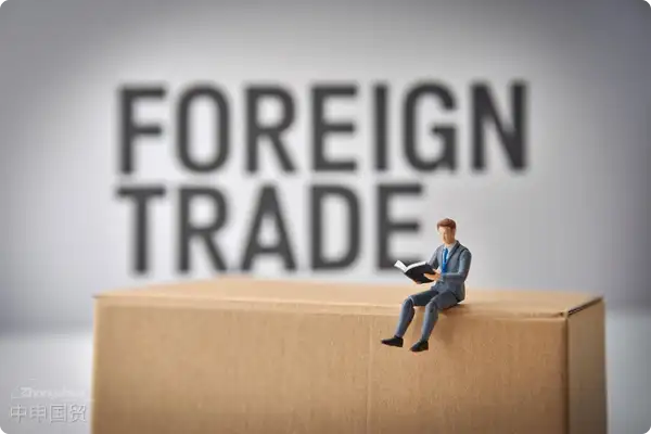 Importing Carpets and Mats from Germany: A Complete Guide to the Foreign Trade Process