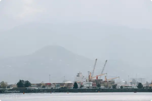 Complete Analysis of Foreign Trade Process for Importing Underwear from Italy