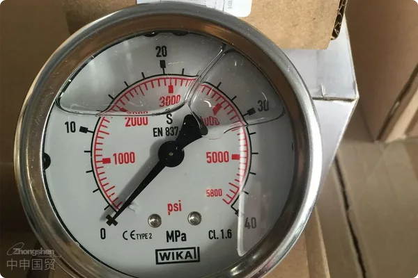 Differential pressure gauge